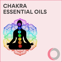 Chakra Essential Oils Training Workshop