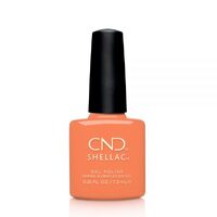 Catch Of The Day Shellac Colour Coat 7.3mL (Nauti Nautical Collection)