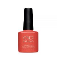 Jelly Bracelet Shellac Colour Coat (New Wave)