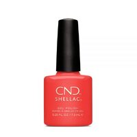 Mambo Beat Shellac Colour Coat 7.3Ml  (Rhythm & Heat)