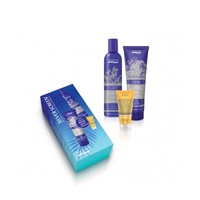 Silver Screen Ice Blonde Gift Pack by Natural Look