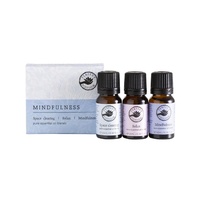 Perfect Potion Mindfulness Oil Blends Kit - 3 x 10ml pack